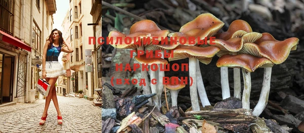 прущая мука Инсар