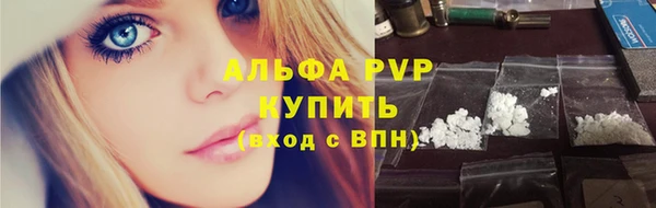 дмт Инта