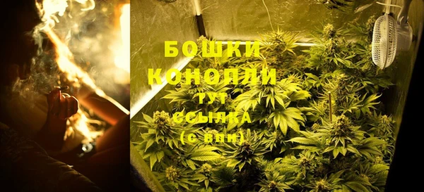 прущая мука Иннополис