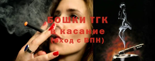 дмт Инта