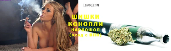 дмт Инта