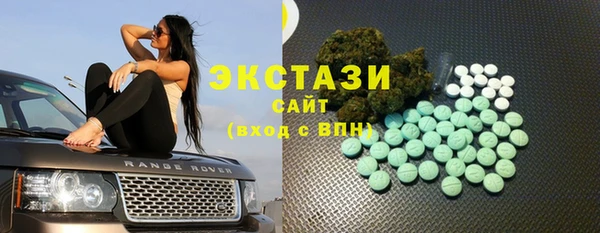 дмт Инта