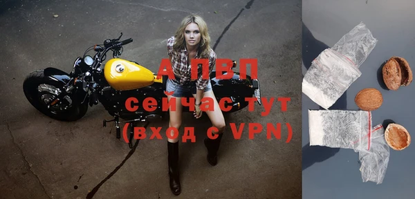 дмт Инта