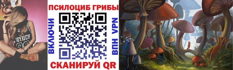 Галлюциногенные грибы Cubensis Новокубанск