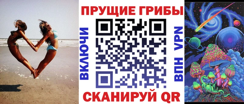 Галлюциногенные грибы Psilocybine cubensis  Новокубанск 