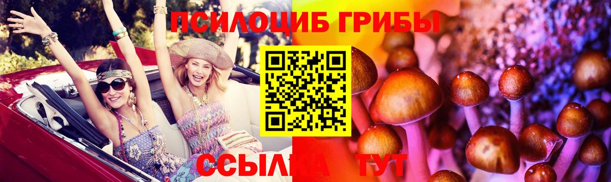 Новокубанск  магазин  наркотиков  Вход с VPN  Галлюциногенные грибы Psilocybine cubensis 